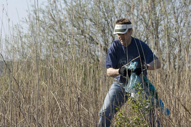 paljasaare_teeme2008 019.jpg